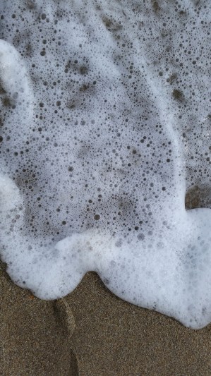 lantana beach walk (13)