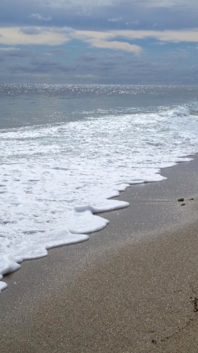 lantana beach walk (8)