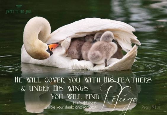 psalm 91 4