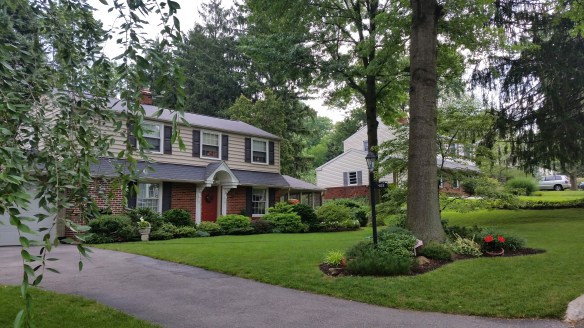 philly and greenwood (23)