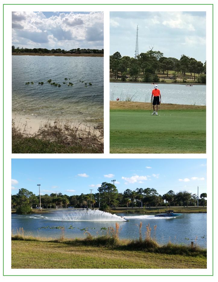 out of the fast lane collage