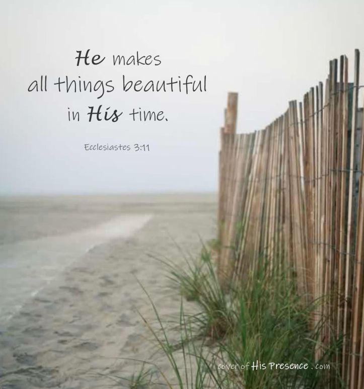 He makes all things beautiful